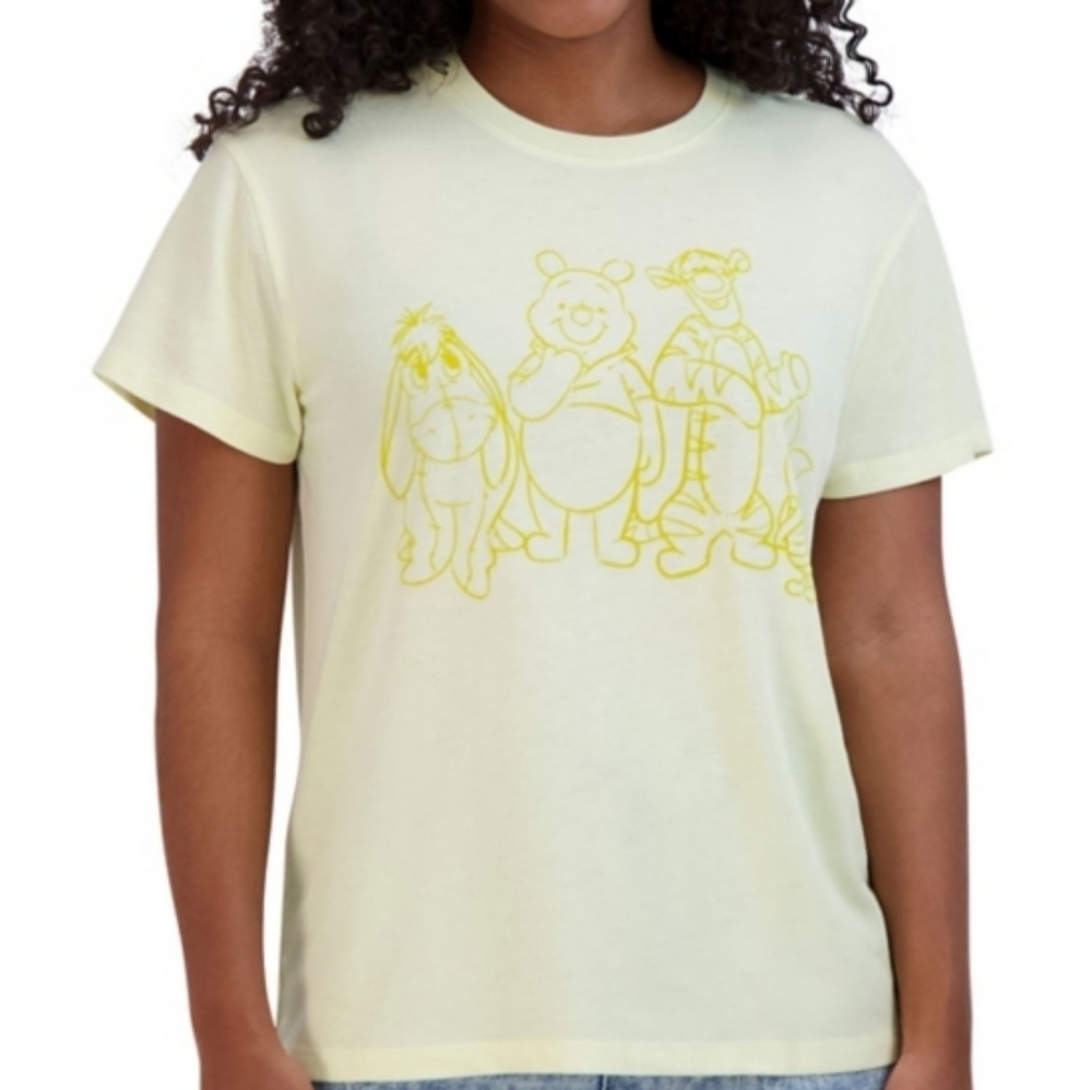 DISNEY Pooh, Tigger, Eeyore, Piglet tee
